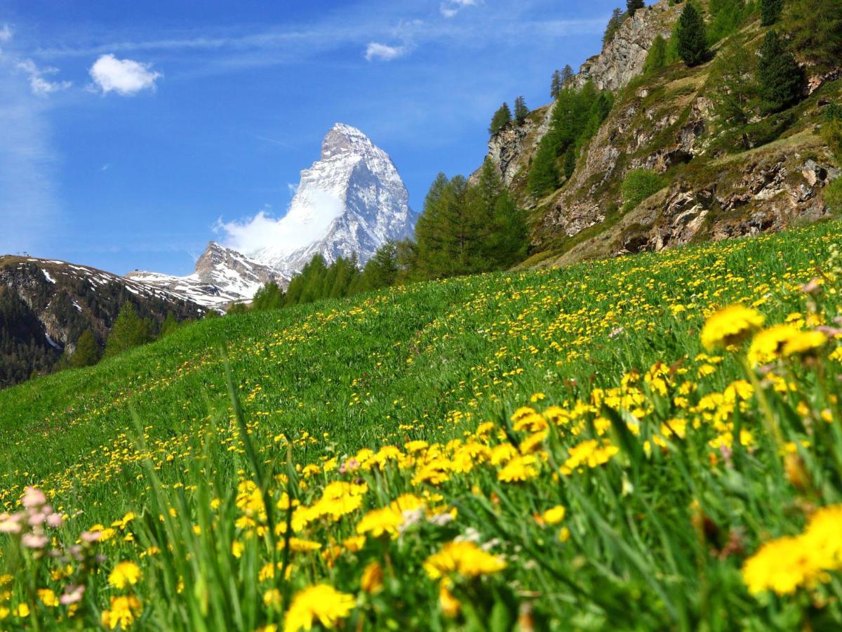 Apartment Imperial-5 By Interhome Zermatt Esterno foto